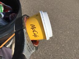 Cup and Lid