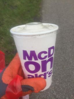 Cup and Lid