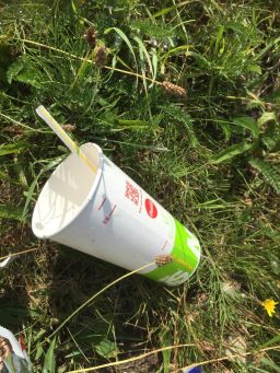 Cup and Straw