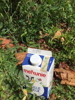 DrinkCarton