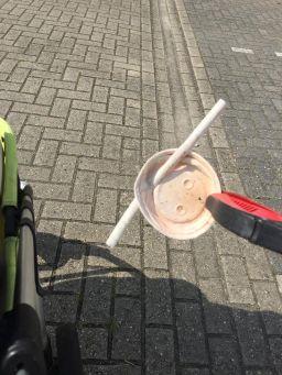 Lid and Straw