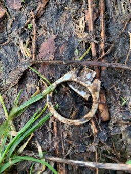 PullRing_old