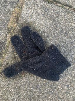 glove