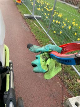 glove